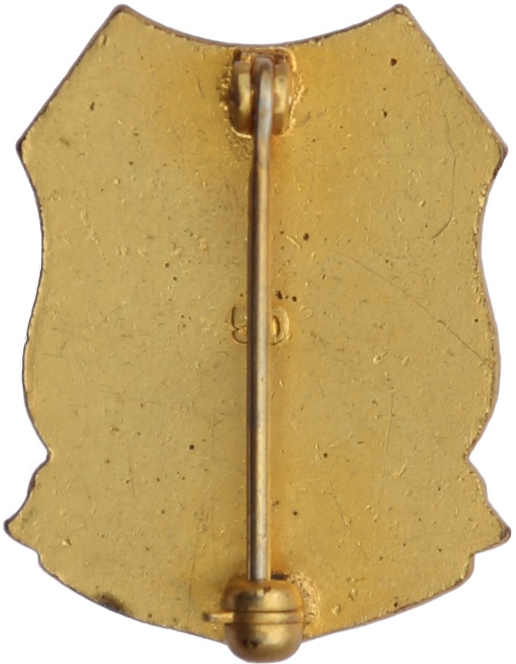 Type 1